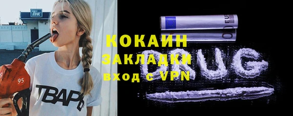 твердый Михайлов