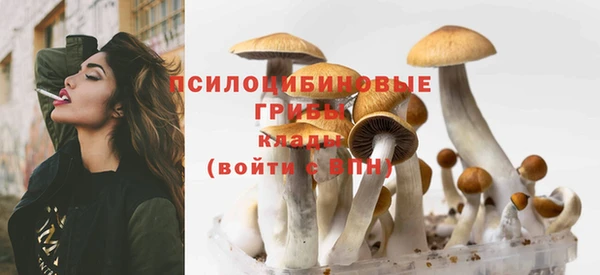 мяу мяу мука Навашино