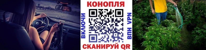 Конопля SATIVA & INDICA  Козьмодемьянск 
